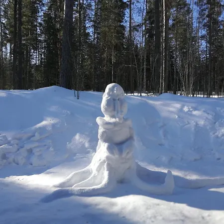 Marina Honka Village *