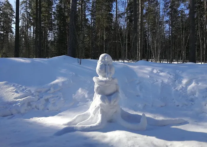 Marina Honka Village *