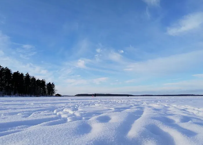 Marina Honka Village 公寓 伊马特拉