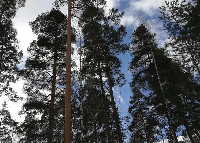 Marina Honka Village Appartement *